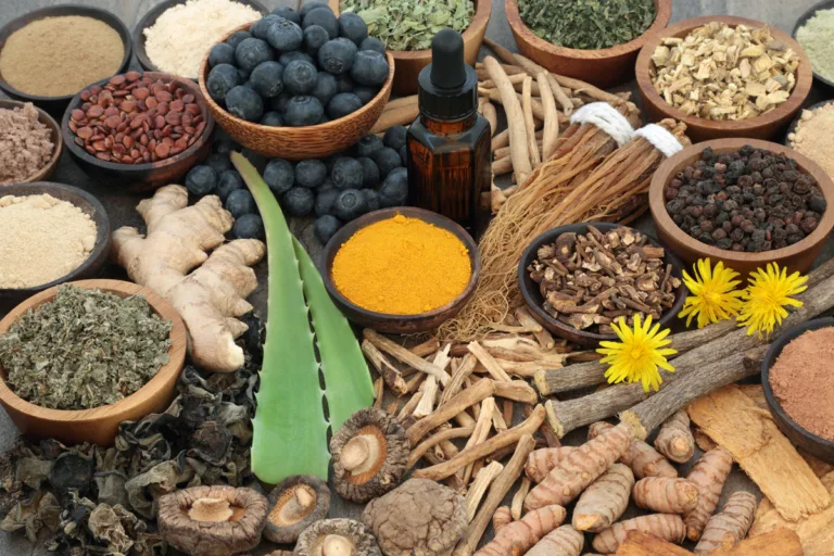 Adaptogenic food collection with herbs, spices, fruit, essential oil and supplement powders. Used in herbal medicine to help the body resist the damaging effect of stress and restore normal physiological functioning. (Adaptogenic food collection with